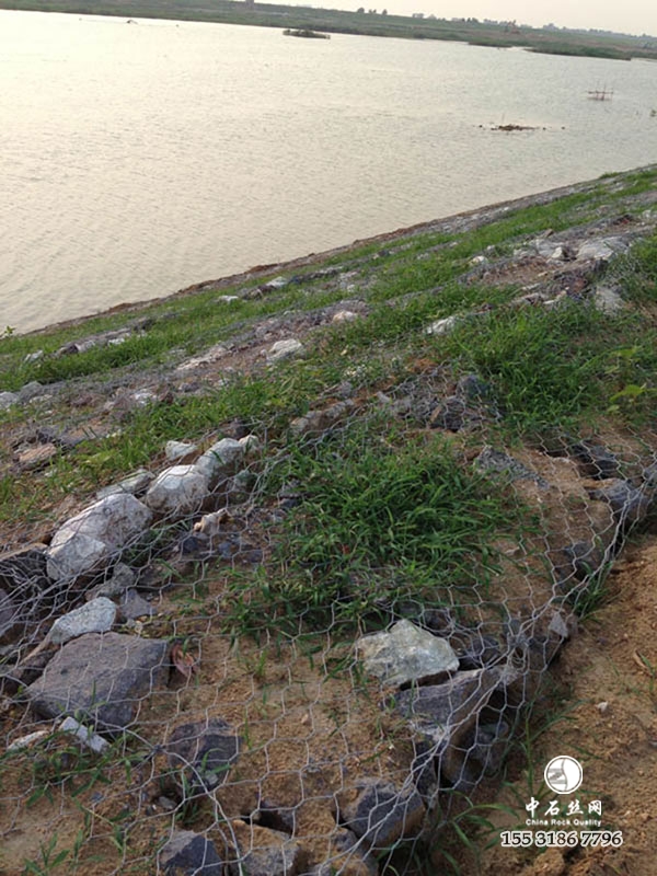 鍍鋅鉛絲籠 鍍鋅鉛絲籠