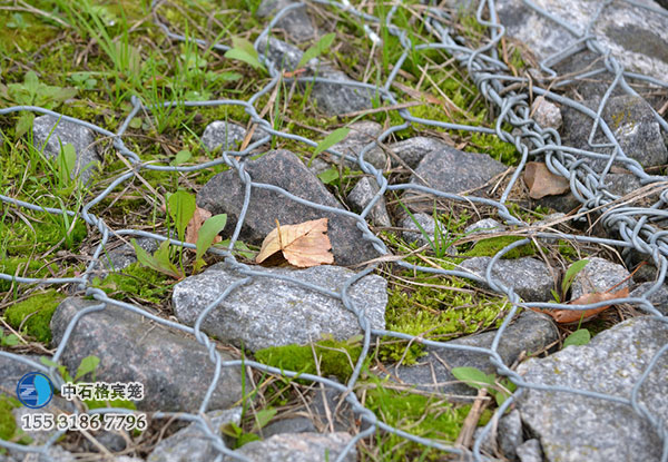 雙隔板雷諾護墊