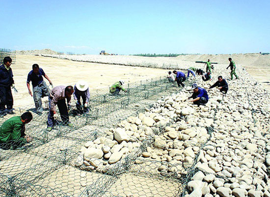 綠格網墊 綠格網墊