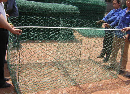 生態格網 生態格網