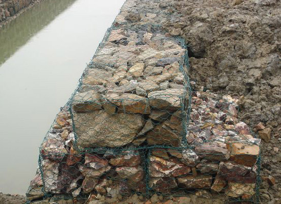 生態格網 生態格網